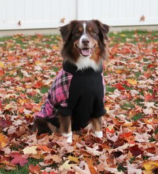 Doggie Design Highline Fleece Vest Dog Coat, Pink & Black Plaid, Size 12 slide 2 of 4