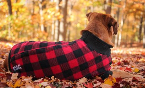Show full view: Doggie Design Highline Fleece Vest Dog Coat, Red & Black Plaid, Size 24 slide 3 of 5