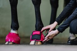 Centaur PVC HL Rib Horse Bell Boots, Hot Pink, Large slide 2 of 4
