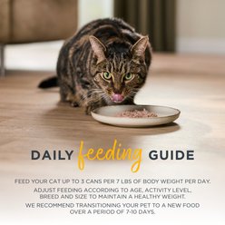 Reveal Entrees Tuna Fillet with Crab Grain-Free Bits in Broth Canned Wet Cat Food, 2.47-oz can, case of 24 slide 2 of 3
