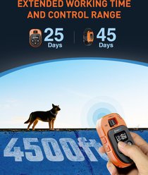 ABBIDOT T60 Waterproof 4500-ft Remote Dog Training Collar, Orange slide 2 of 7