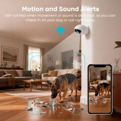 Bueteka C21 2.4GHz Security WiFi Pet Camera, White slide 2 of 9