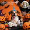 Show in main carousel: Nocciola Haunted House Party Variety Pack Plush Dog Toys, 10 count slide 7 of 7