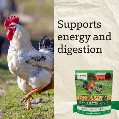 Show full view: Nutrena Hi Pro Chicken 12% Protein Scratch Grains & Protein Pellets, 7-lb bag slide 6 of 9
