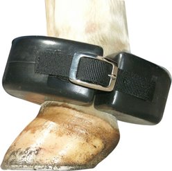 Intrepid International Shoe Boil Horse Boot