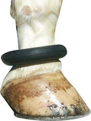 Turbo Catnip Belly Hedgehog Plush Cat Toy with Catnip