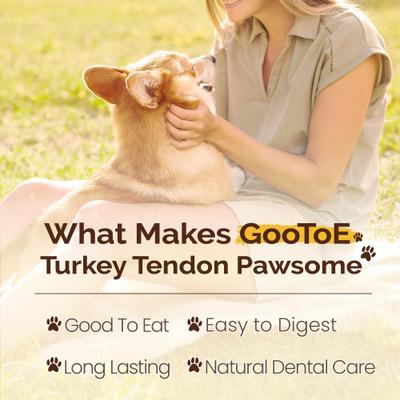 Show full view: GooToE Natural Small Turkey Tendon Dog Bones, 6 count slide 6 of 7