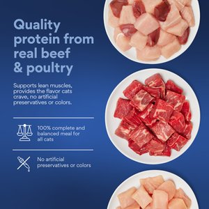 Chewy Made Pate Beef & Poultry Recipes Variety Pack Canned Cat Food (FORMERLY TINY TIGER), 3-oz can, case of 24