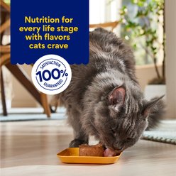 Chewy Made Pate Chicken Recipe Canned Cat Food (FORMERLY TINY TIGER), 3-oz can, case of 24 slide 2 of 9