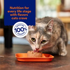 Variety Pack - Chewy Made Pate Canned Cat Food, Chicken + Turkey & Giblets Flavors (FORMERLY TINY TIGER) slide 2 of 9