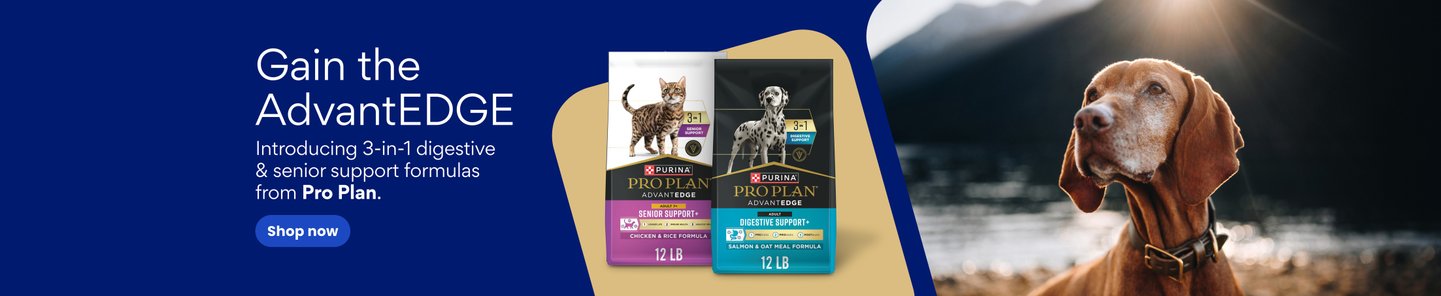 Gain the AdvantEDGE Introducing 3-in-1 digestive & senior support formulas from Pro Plan. Shop now.