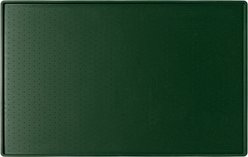 Park Life Designs Silicone Mess Free Dog Placemat, Fern Green slide 1 of 3