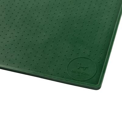Show full view: Park Life Designs Silicone Mess Free Dog Placemat, Fern Green slide 2 of 3