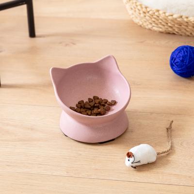 Show full view: Park Life Designs Archie Tilted Cat Dish Set, Small, 2 count, Pink slide 2 of 5