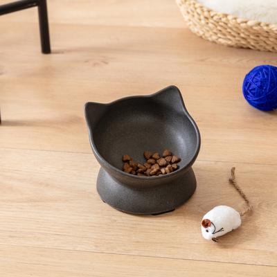 Show full view: Park Life Designs Archie Tilted Cat Dish Set, Small, 2 count, Dark Grey slide 2 of 5
