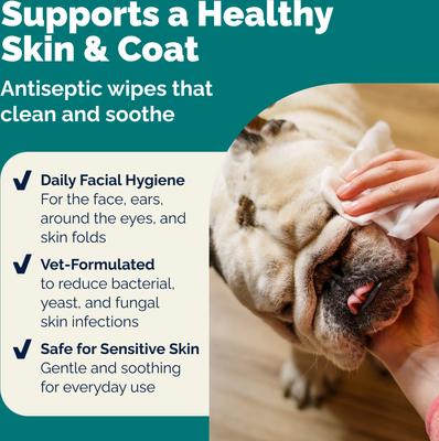Show full view: Vetnique Labs DermaBliss Advanced Vet Strength Chlorhexidine Dog & Cat Wrinkle, Face & Skin Fold Wipes, 60 count slide 4 of 8