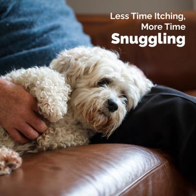 Show full view: Vetnique Labs DermaBliss Advanced Vet Strength Chlorhexidine Dog & Cat Wrinkle, Face & Skin Fold Wipes, 60 count slide 7 of 10