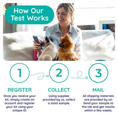 Show full view: Innovative Pet Lab Inflammation & Immunity Dog & Cat Gut Check Kit slide 6 of 10