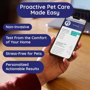 Innovative Pet Lab Leaky Dog & Cat Gut Check Kit