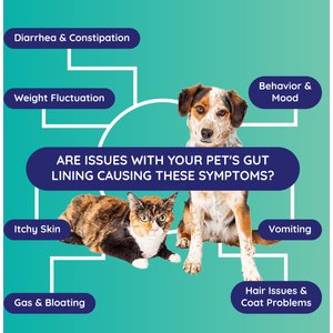 Innovative Pet Lab Leaky Dog & Cat Gut Check Kit