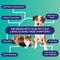 Show in main carousel: Innovative Pet Lab Leaky Dog & Cat Gut Check Kit slide 3 of 10