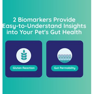 Innovative Pet Lab Leaky Dog & Cat Gut Check Kit