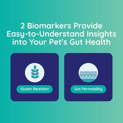Show full view: Innovative Pet Lab Leaky Dog & Cat Gut Check Kit slide 5 of 10