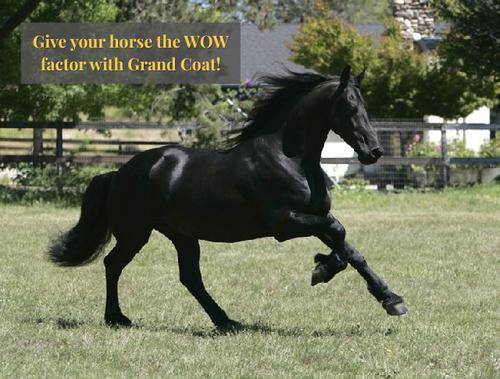 Show full view: Grand Meadows Coat Horse Supplement, 20-lb bag slide 2 of 7