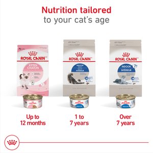 Royal Canin Feline Health Nutrition Indoor Adult Dry Cat Food, 15-lb bag