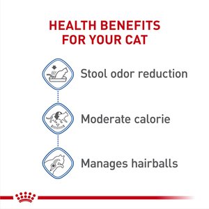 Royal Canin Feline Health Nutrition Indoor Adult Dry Cat Food, 15-lb bag
