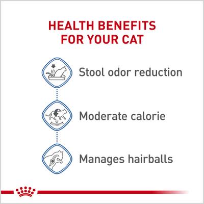 Show full view: Royal Canin Feline Health Nutrition Indoor Adult Dry Cat Food, 7-lb bag slide 3 of 12