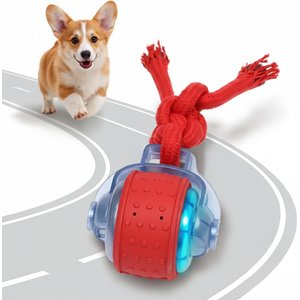 around the collar dog leashes Roamer Bungee Dog Leash with Traffic Handle