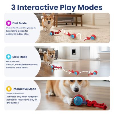 Show full view: PawsPik Tug & Spin Smart Interactive Dog Toy, Red, Medium slide 3 of 11