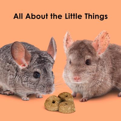 Show full view: Kaytee Super C Bites Cranberry & Orange Small Pet Treats, 4-oz bag slide 8 of 11