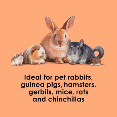 Show full view: Kaytee Super C Bites Cranberry & Orange Small Pet Treats, 4-oz bag slide 5 of 11