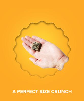 Show full view: Plato Hundur's Crunch Jerky Minis Dog Treats, 10-oz bag slide 7 of 8