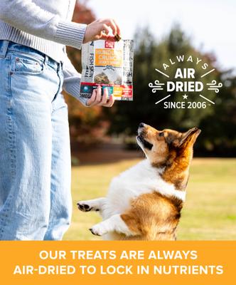 Show full view: Plato Hundur's Crunch Jerky Minis Dog Treats, 10-oz bag slide 4 of 8