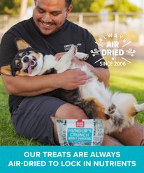 Plato Hundur's Crunch Jerky Fingers Dog Treats, 10-oz bag slide 2 of 7