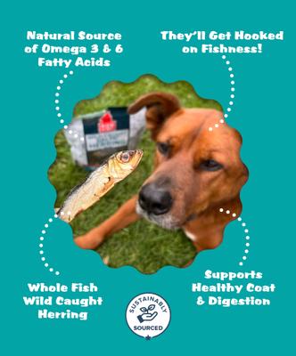 Show full view: Plato Baltic Herring Dog & Cat Treat, 3-oz bag slide 5 of 9