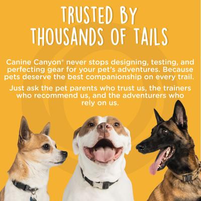 Show full view: Canine Canyon Bella Airline Approved Duffel Dog Carrier, Bright Blue slide 10 of 10