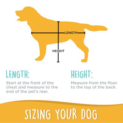 Show full view: Canine Canyon Bella Airline Approved Duffel Dog Carrier, Bright Blue slide 5 of 10