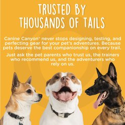 Canine Canyon Gio Airline Approved Backpack Dog Carrier, Teal slide 2 of 9