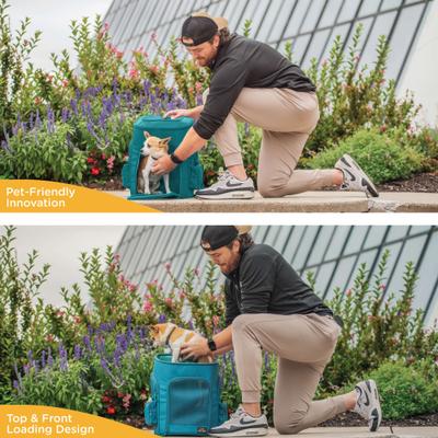 Show full view: Canine Canyon Gio Airline Approved Backpack Dog Carrier, Teal slide 7 of 9