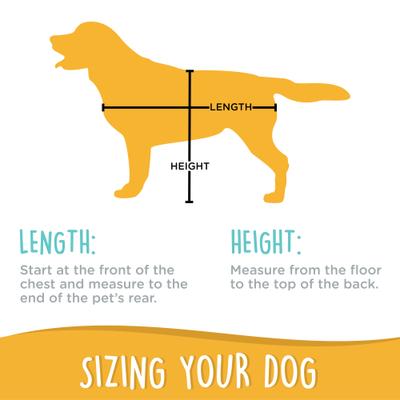 Show full view: Canine Canyon Gio Airline Approved Backpack Dog Carrier, Teal slide 4 of 9