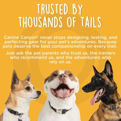 Show full view: Canine Canyon Sarge Portable Dog Run with Leash & Carry Bag, Orange, 36-ft long, Medium, leash slide 9 of 10