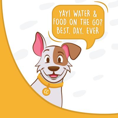 Show full view: Canine Canyon Rufus Collapsible Wallet Travel Dog Bowl, Teal, Medium, 6-cup slide 9 of 10