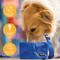 Show in main carousel: Canine Canyon Rufus Collapsible Wallet Travel Dog Bowl, Bright Blue, Medium, 6-cup slide 6 of 9