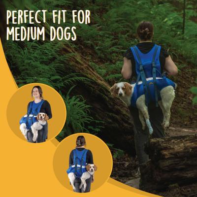 Show full view: Canine Canyon Rover Rescue Dog Carry Support Harness, Bright Blue slide 8 of 10