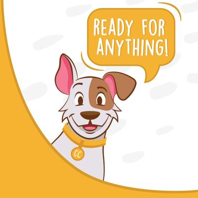 Show full view: Canine Canyon Rover Rescue Dog Carry Support Harness, Bright Blue slide 9 of 10