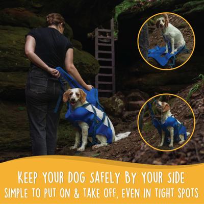 Show full view: Canine Canyon Rover Rescue Dog Carry Support Harness, Bright Blue slide 6 of 10